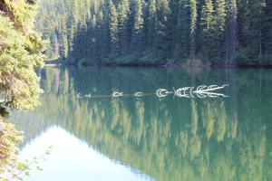 Flash Lake, Manning Provincial Park