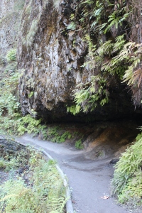Cave near Wahclella Falls
